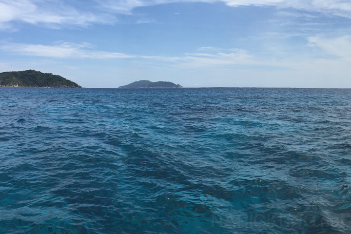 Landscape Image 2