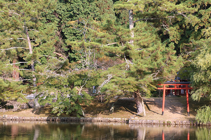 Landscape Image 4