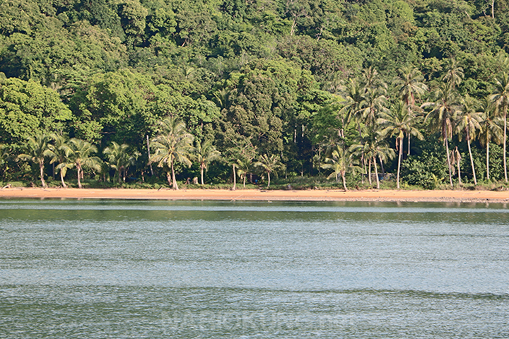 Landscape Image 7