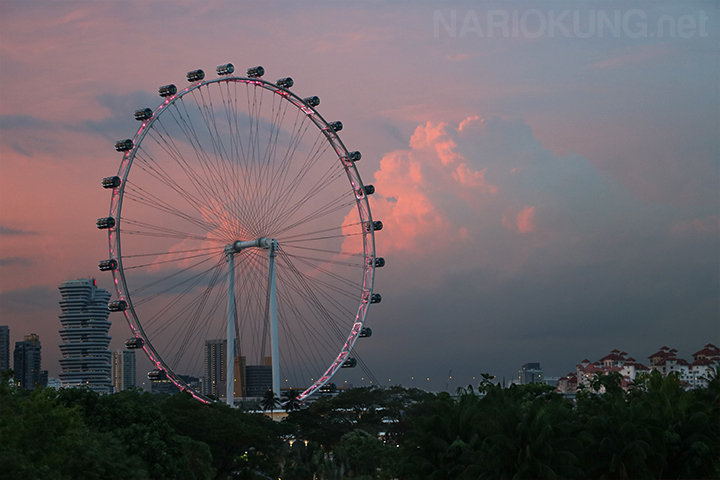 Night Image 12